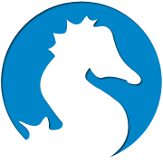 CC在线压力测试